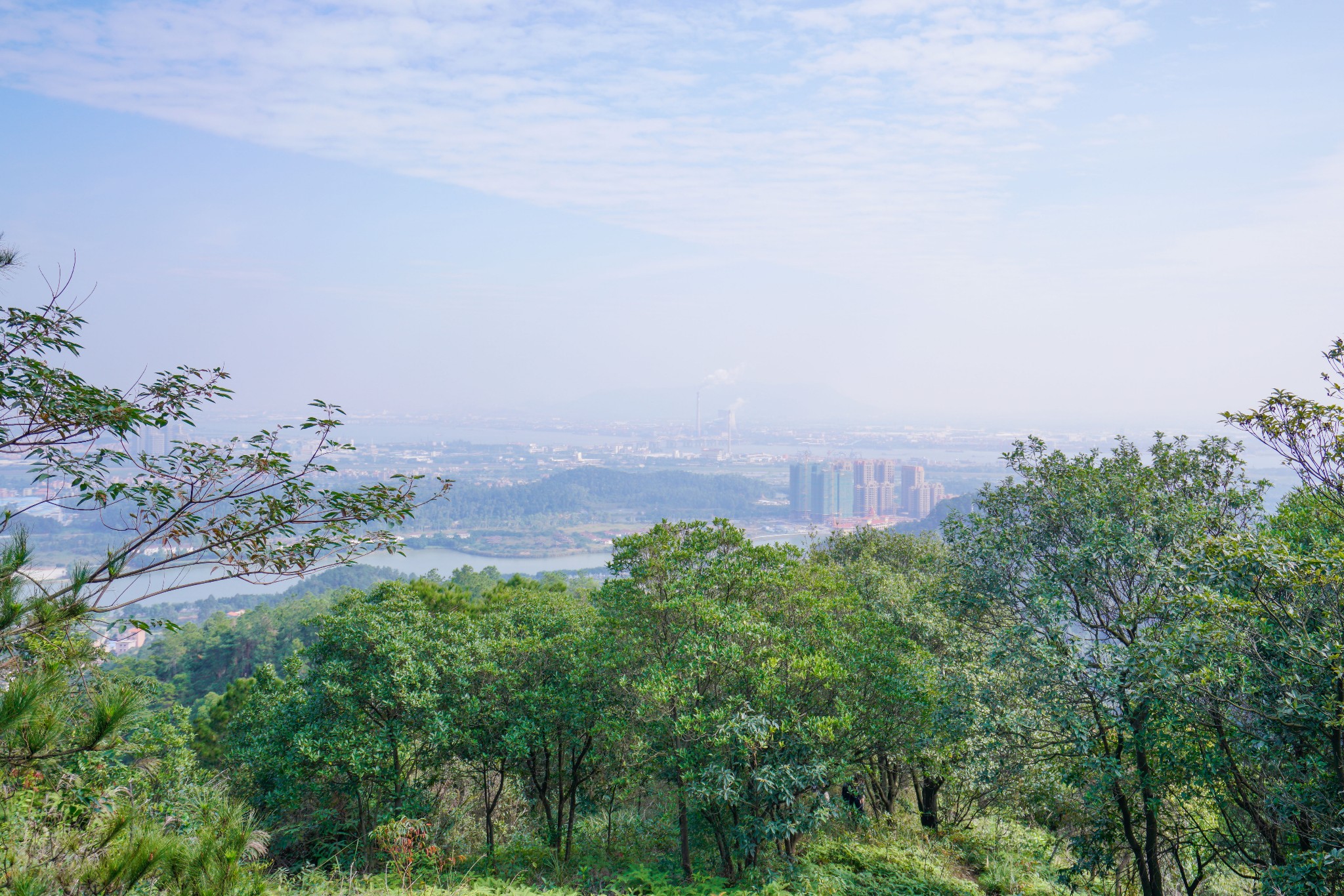 佛山高明茶山,只为拍照不为鸡之旅