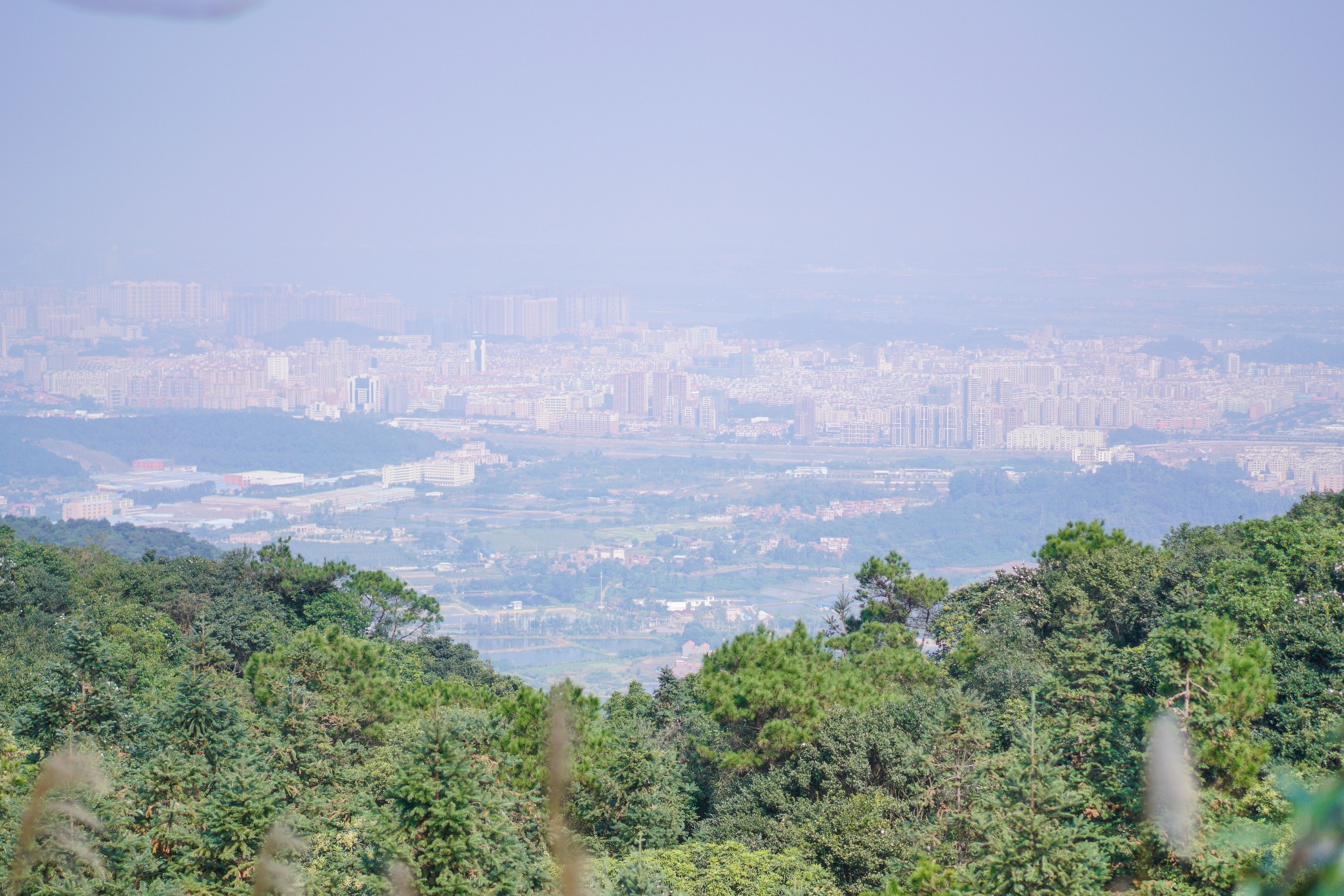 佛山高明茶山,只为拍照不为鸡之旅