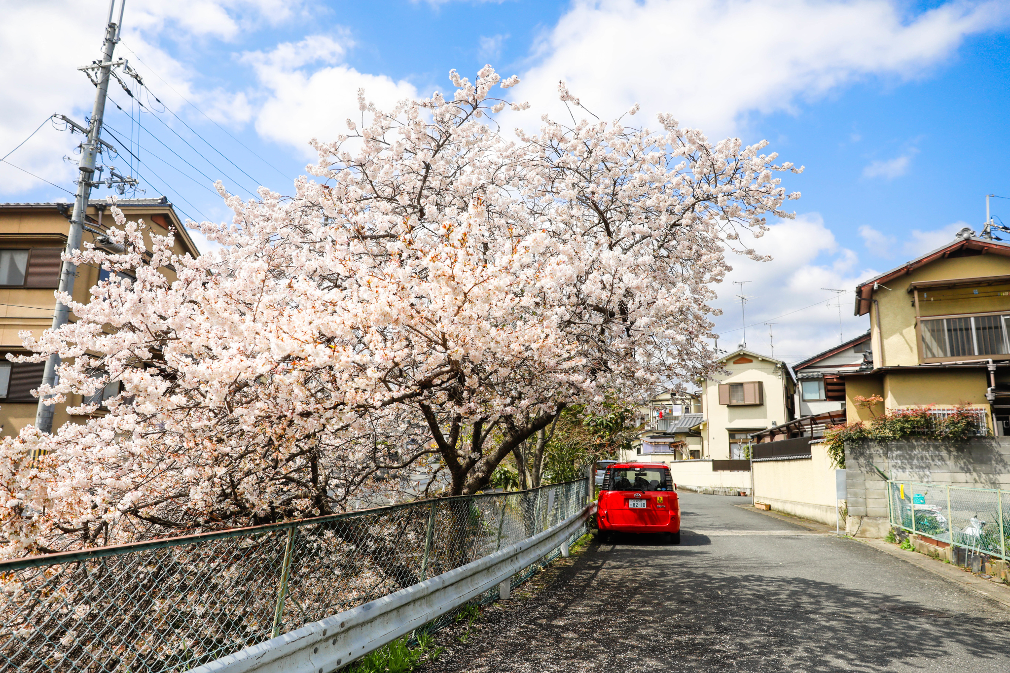 【熊本图片】