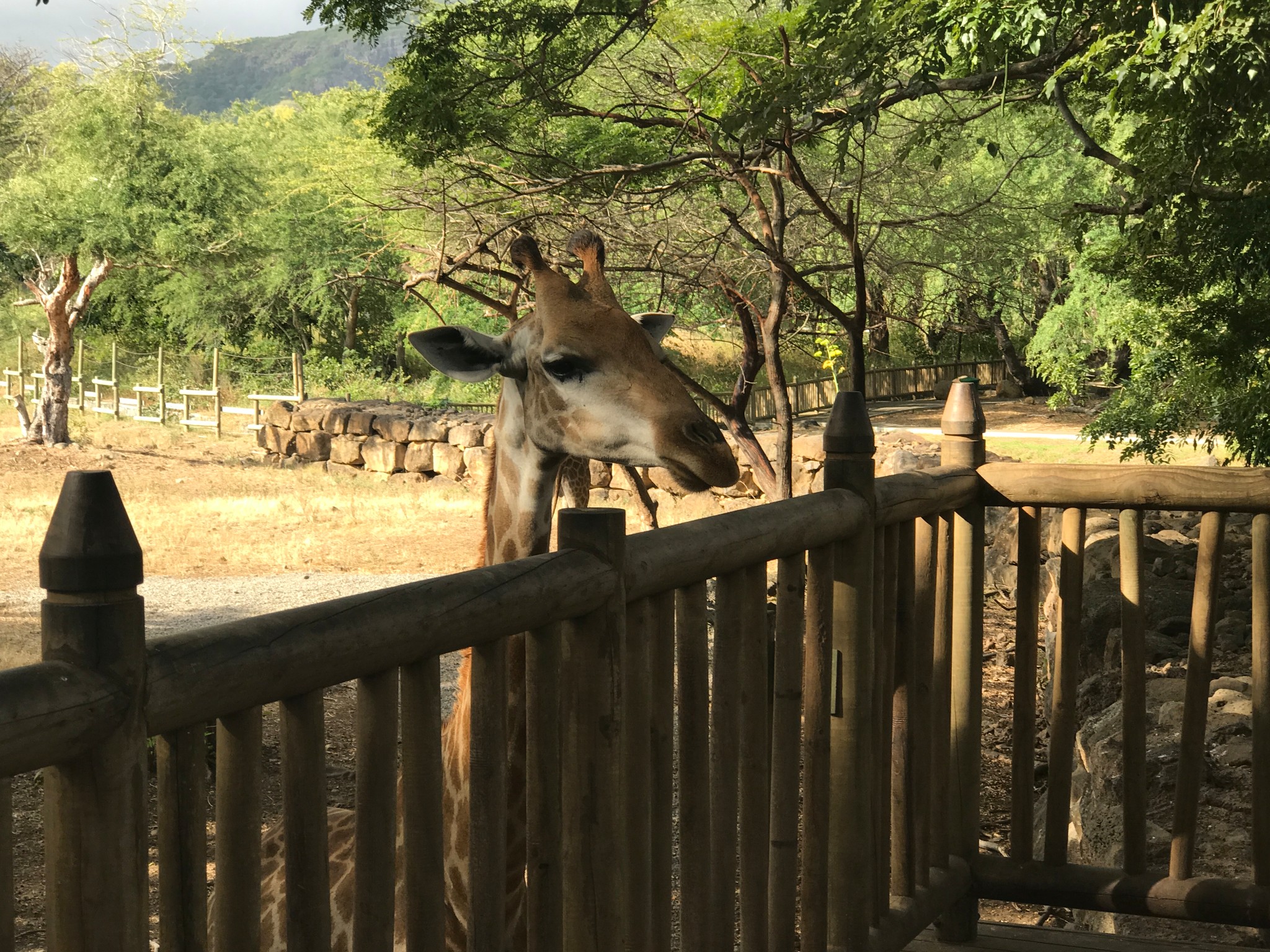 潜派旅行