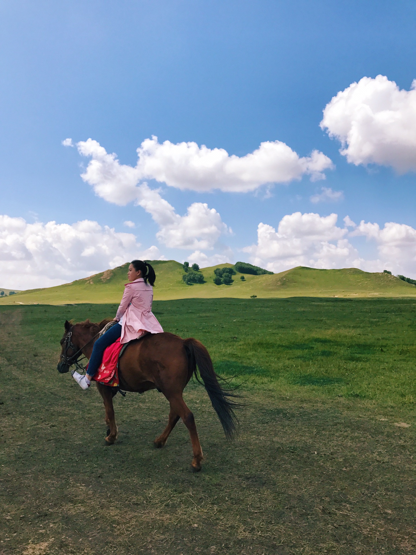 wKgBZ1mg_wWAJE5EAAo3CAkv03835.jpeg?imageView2%2F2%2Fw%2F600%2Fh%2F600%2Fq%2F90