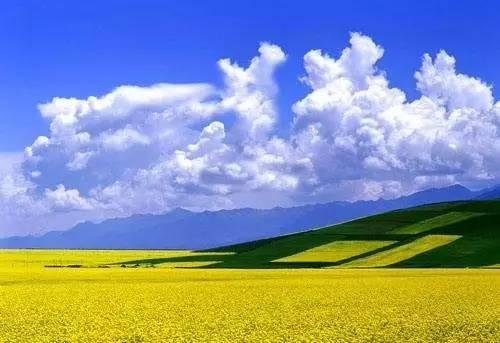 青海旅游的最好时间是几月 不会太挤天气又还好