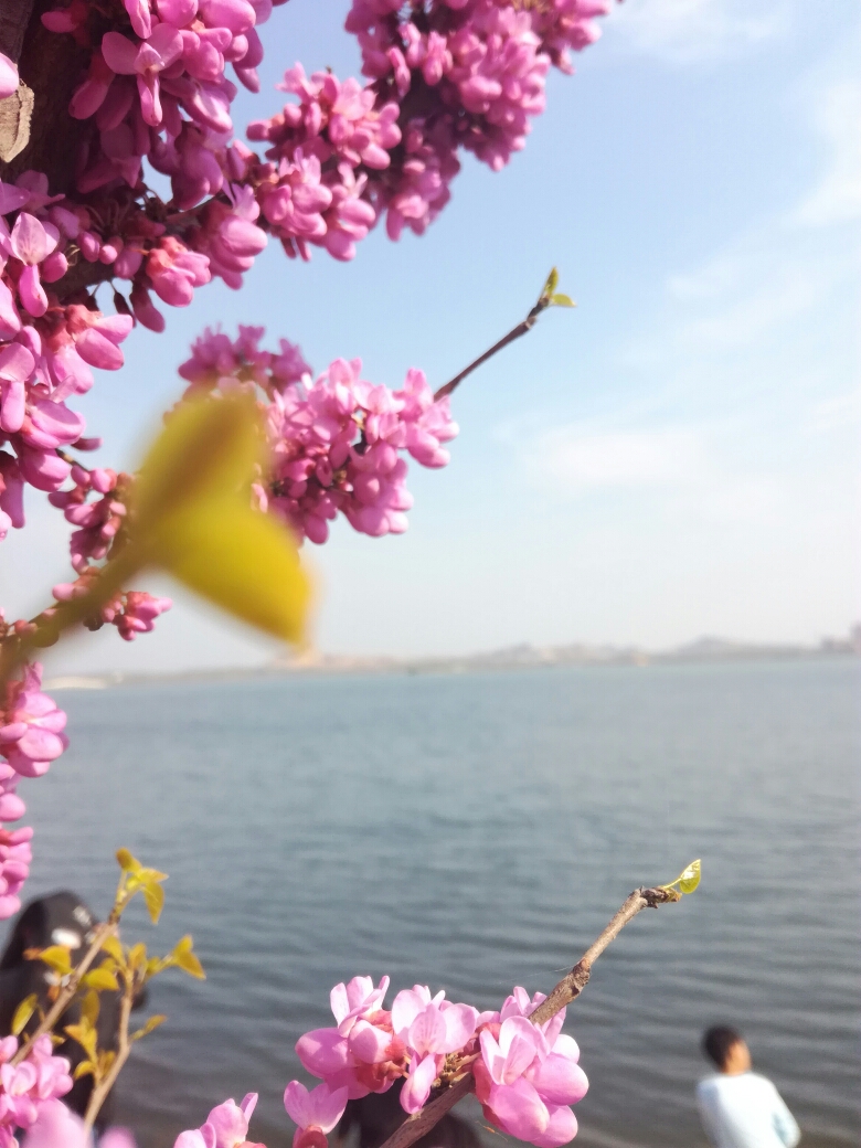 淮北，南北饮食交汇，你总会找到你想要的味道...