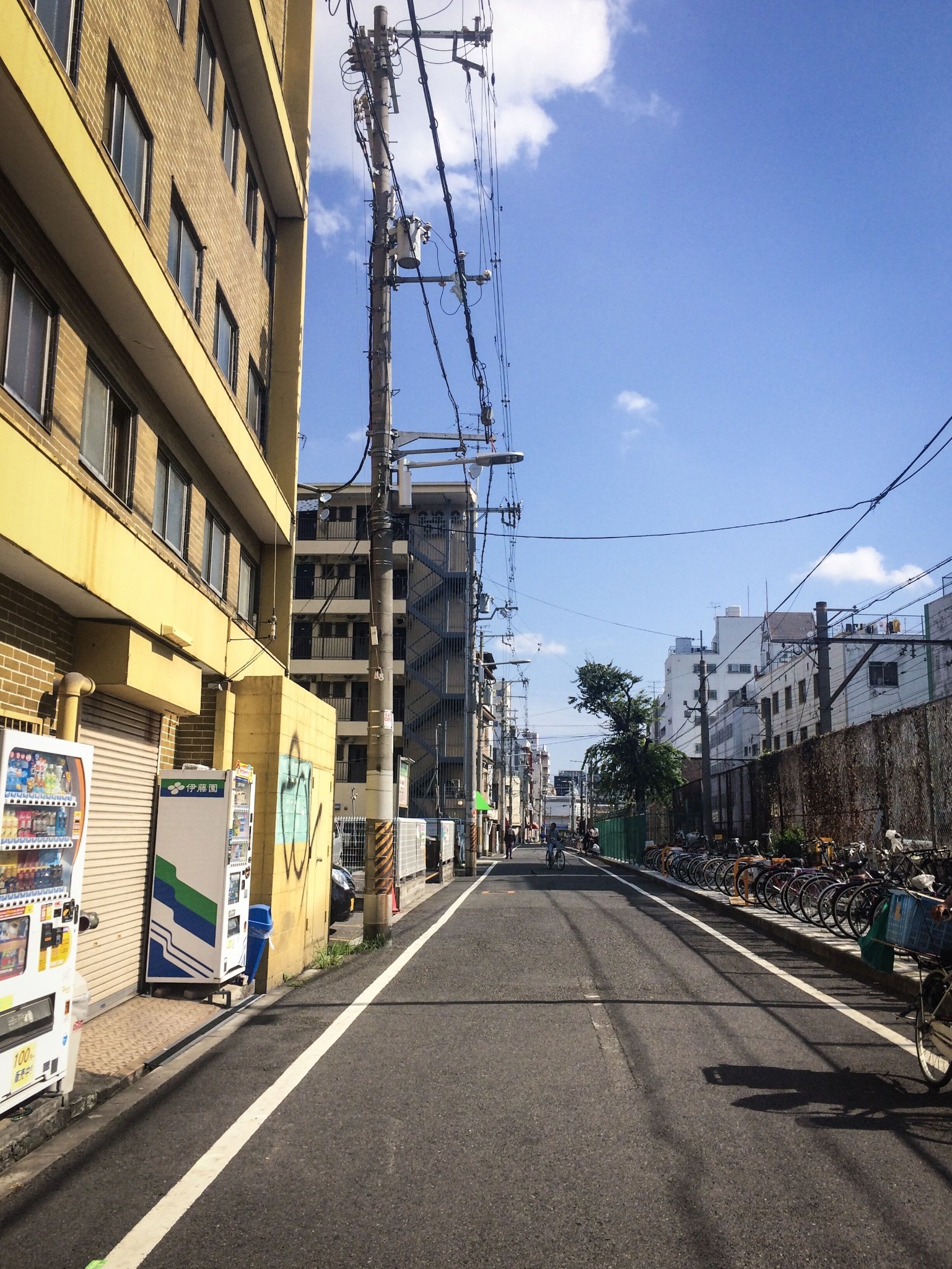 首踏关西看日本海,去日本人家作客(夏季甲子园,柯南小镇的朝圣)