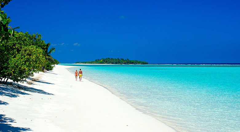 马尔代夫神仙珊瑚岛:不会英语,上岛这么交流,