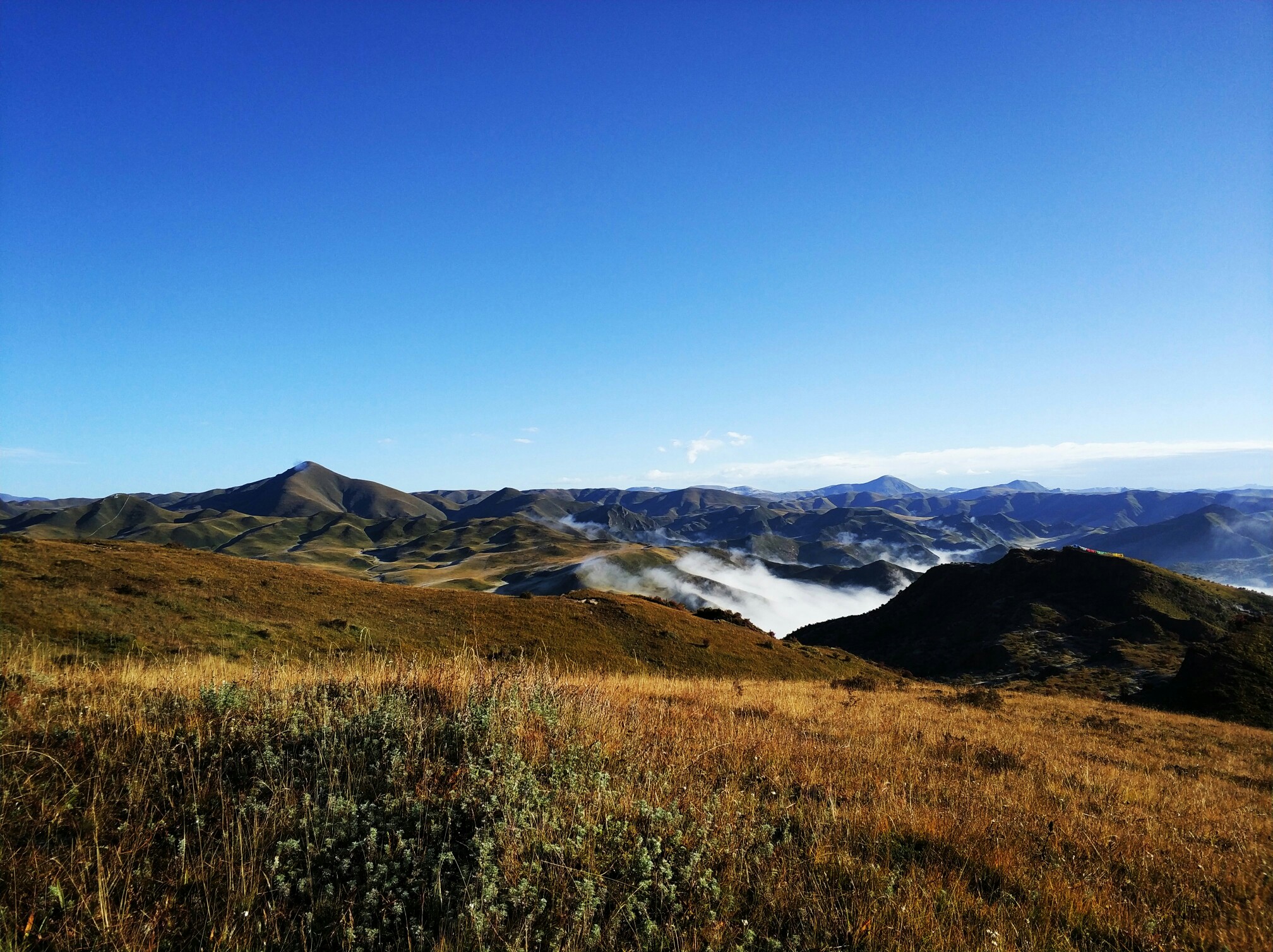 行行摄摄之晚秋郎木寺_游记