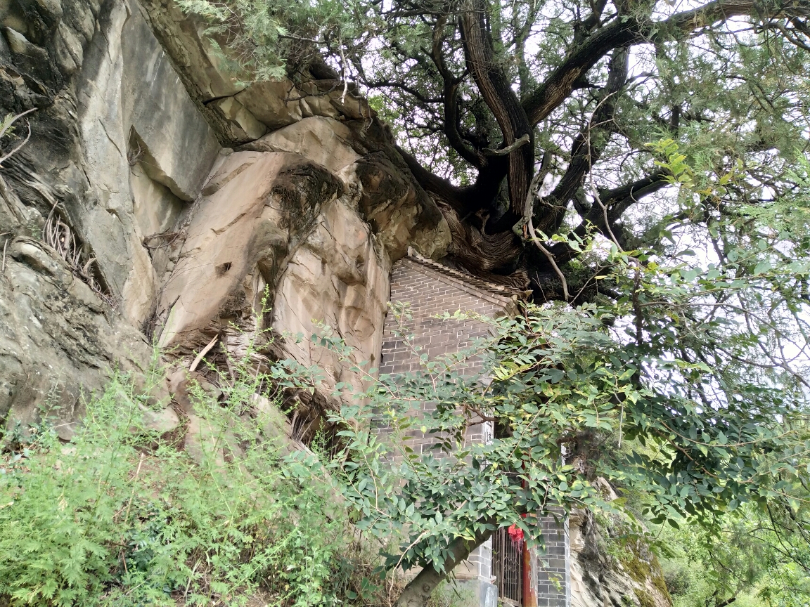 麟游县有多少人口