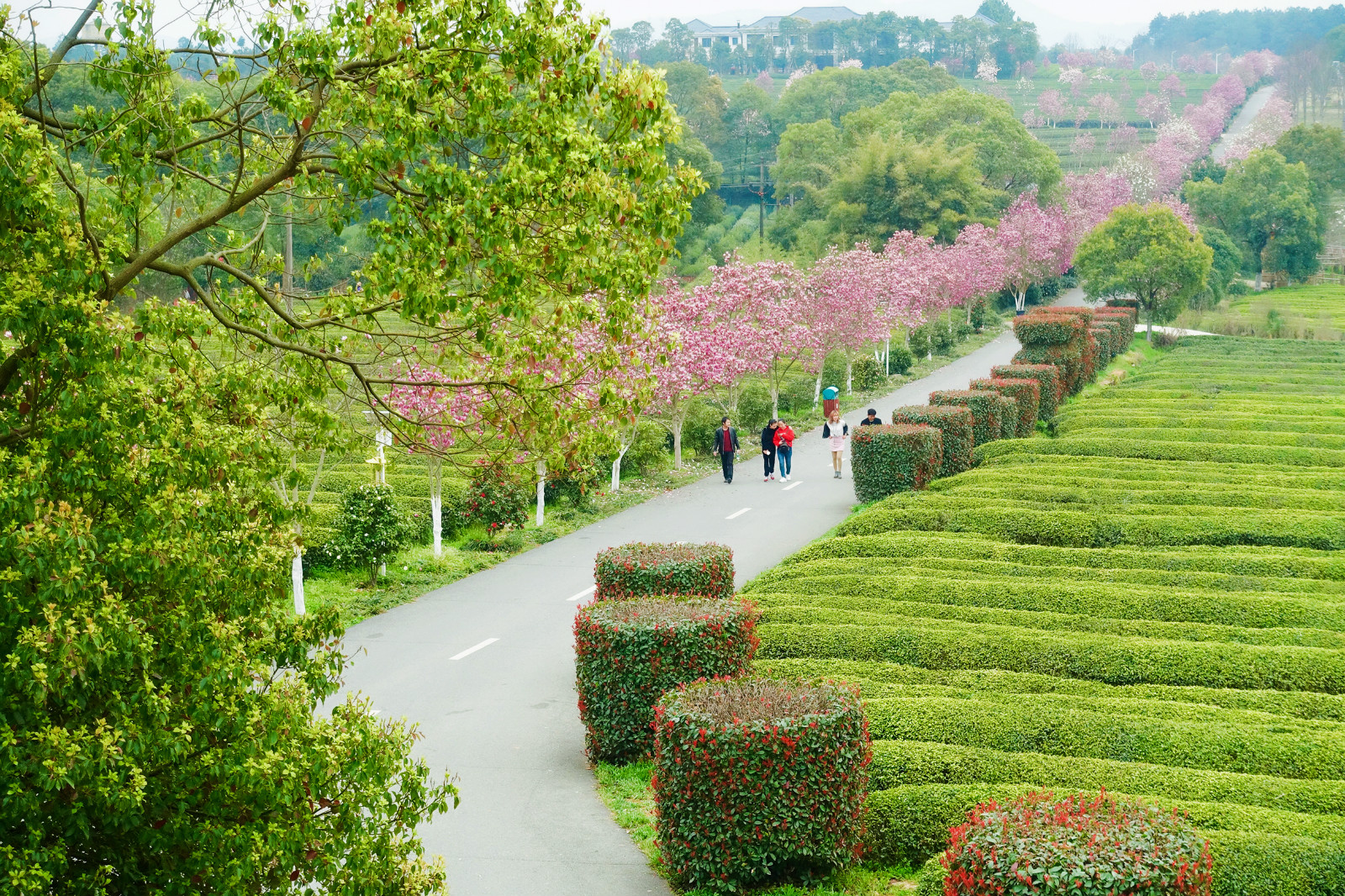 凤凰沟风景区        