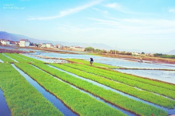 我和她的旅途（美图）