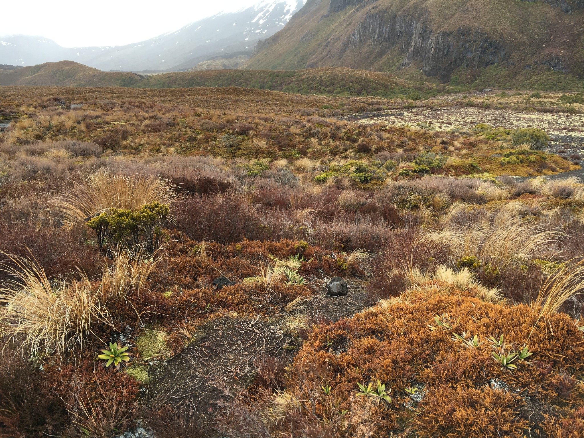 远方十篇（3）初闯高山_游记