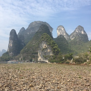 巴厘岛蘑