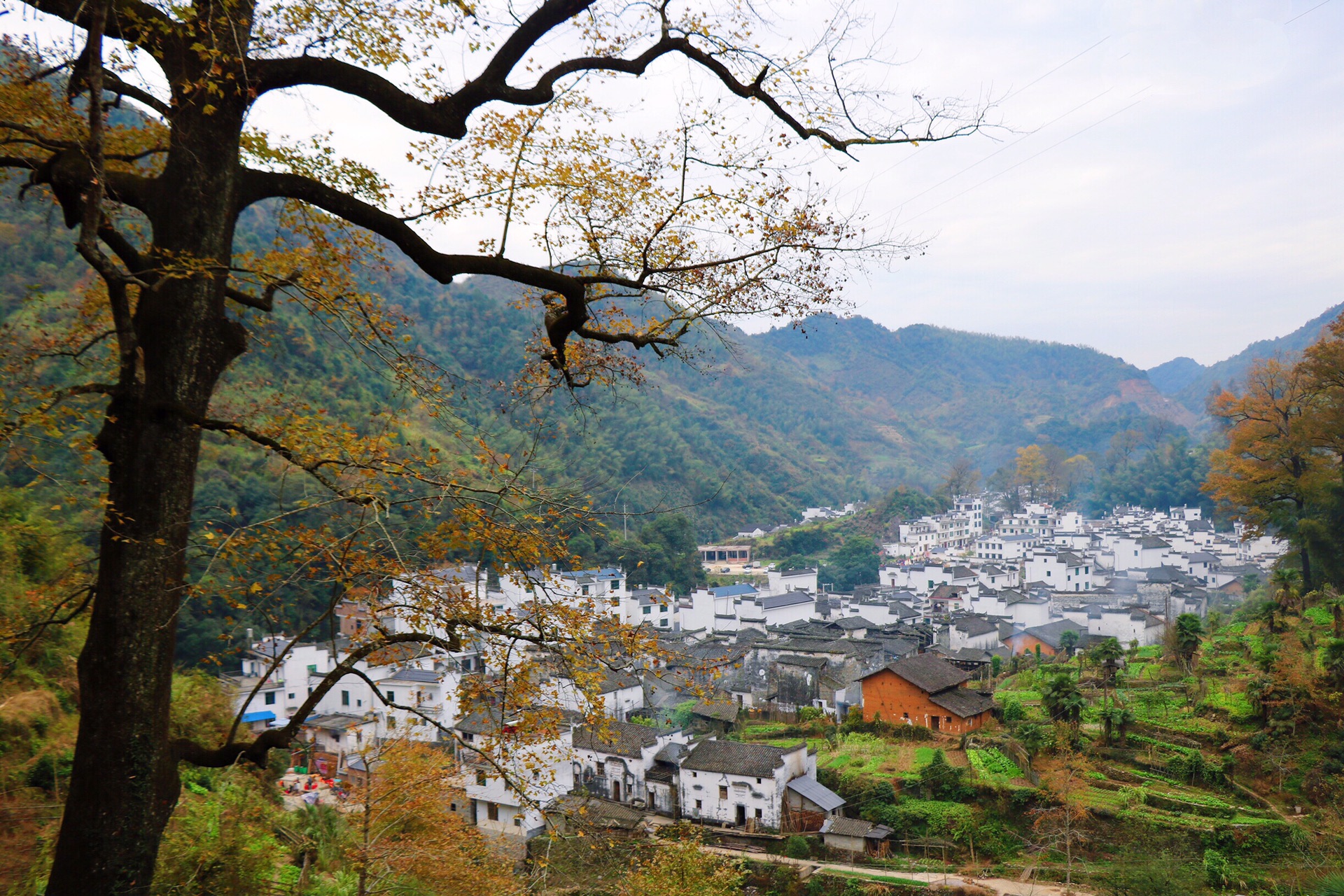 画中婺源，五彩斑斓——不走寻常路的寻秋之旅_游记