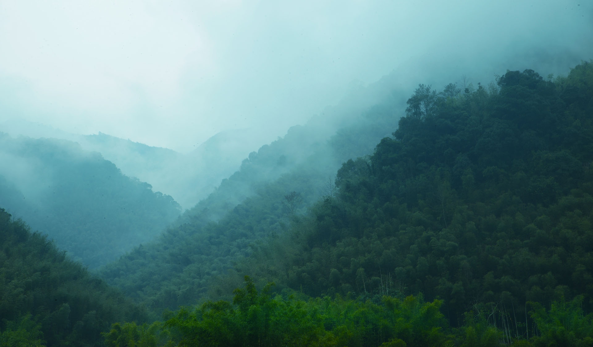 发现广东最美风景 ——车八岭