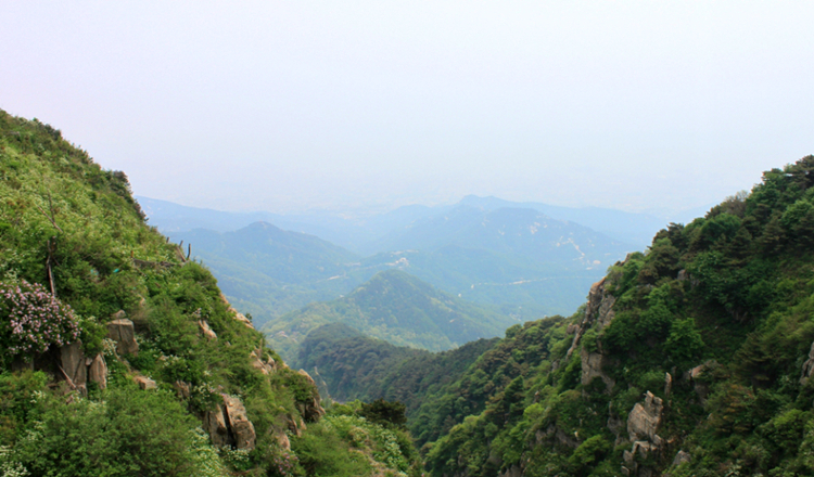 泰山城区人口_人口普查泰山府君