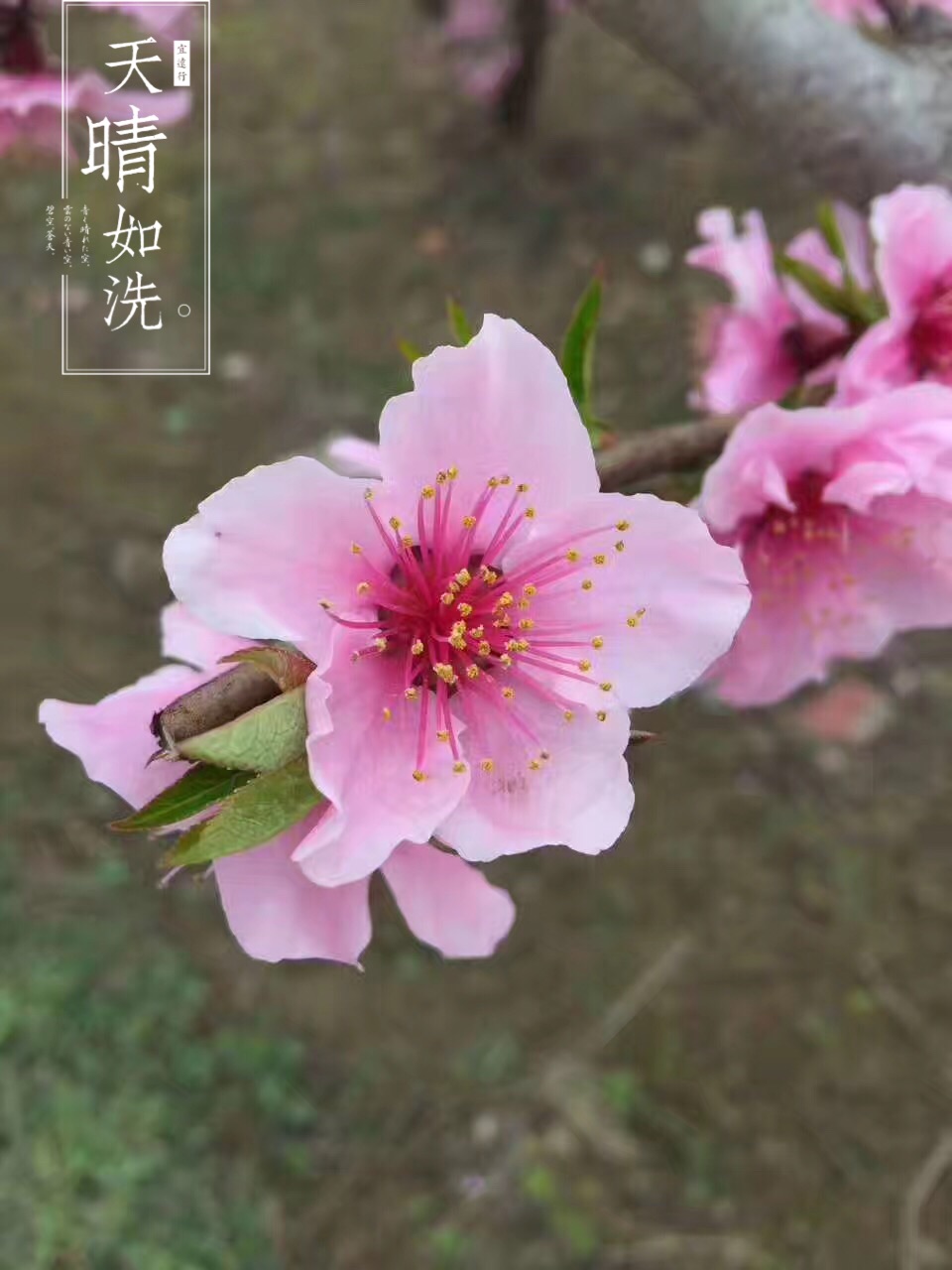 红河美食-临安风味长廊