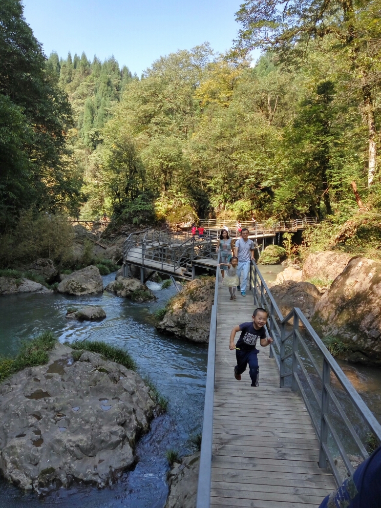 雅安龙苍沟 金口河大峡谷 黑竹沟 乐山四日游