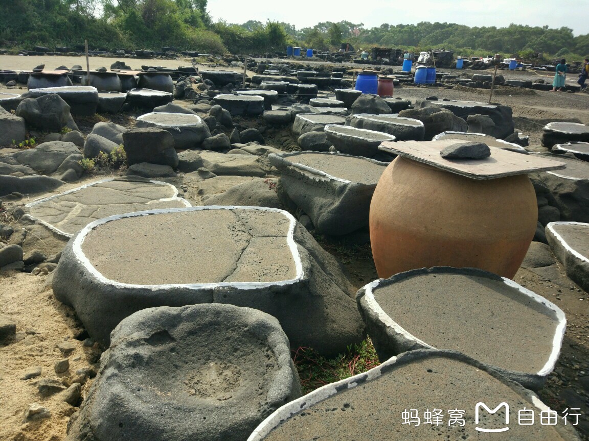 海口怎么搭渡轮回湛江_湛江西到海口火车硬卧