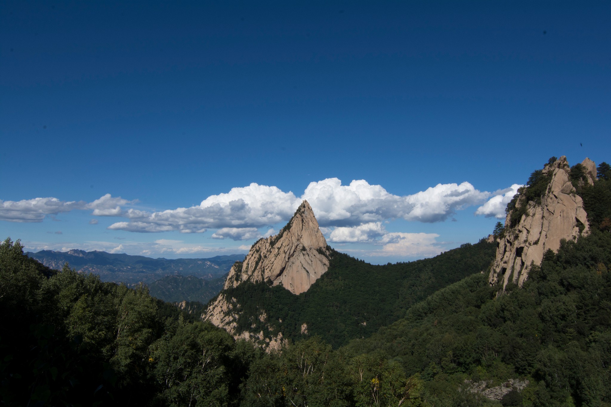 雾灵山森林公园        