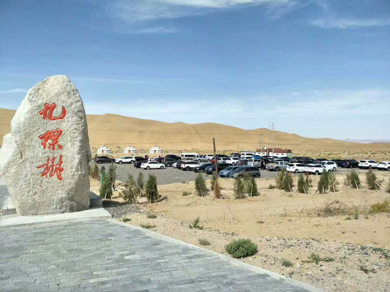 有了九棵树，谁还去巴丹湖