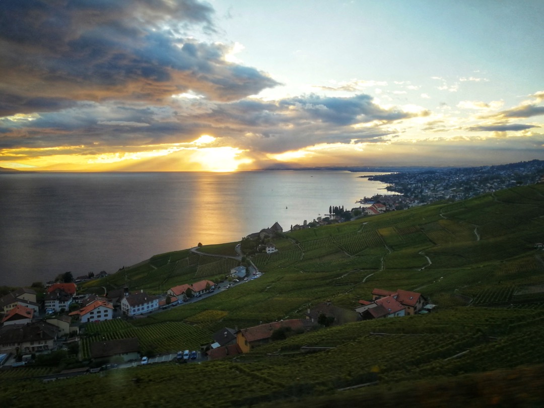 洛桑美食-Lausanne-Moudon