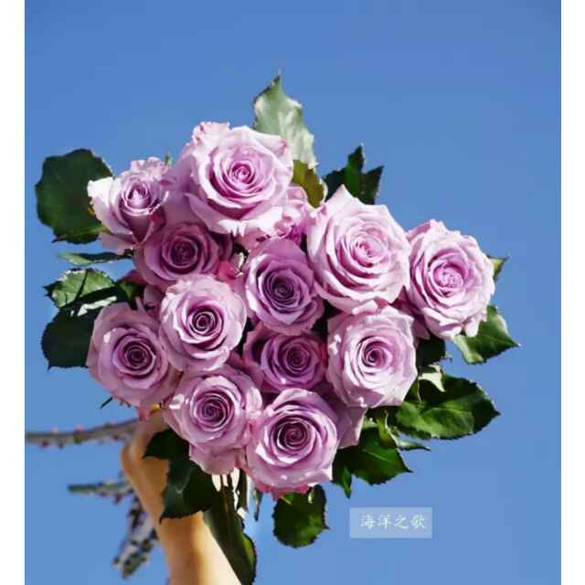 sure 