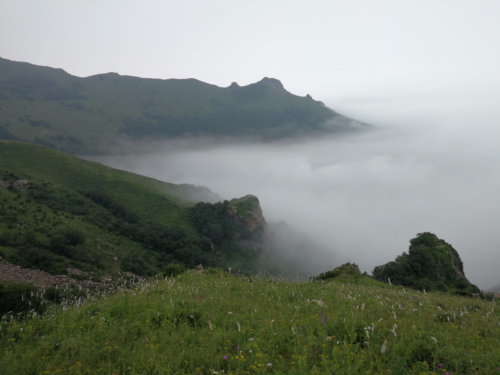 孔涧浑身湿透穿越到东灵山，遇见美景，人生难...