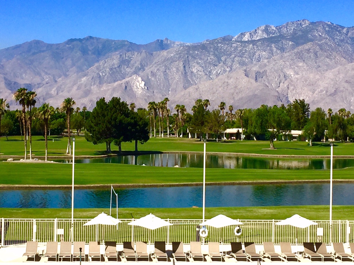 棕榈泉美食-Escena Lounge and Grill