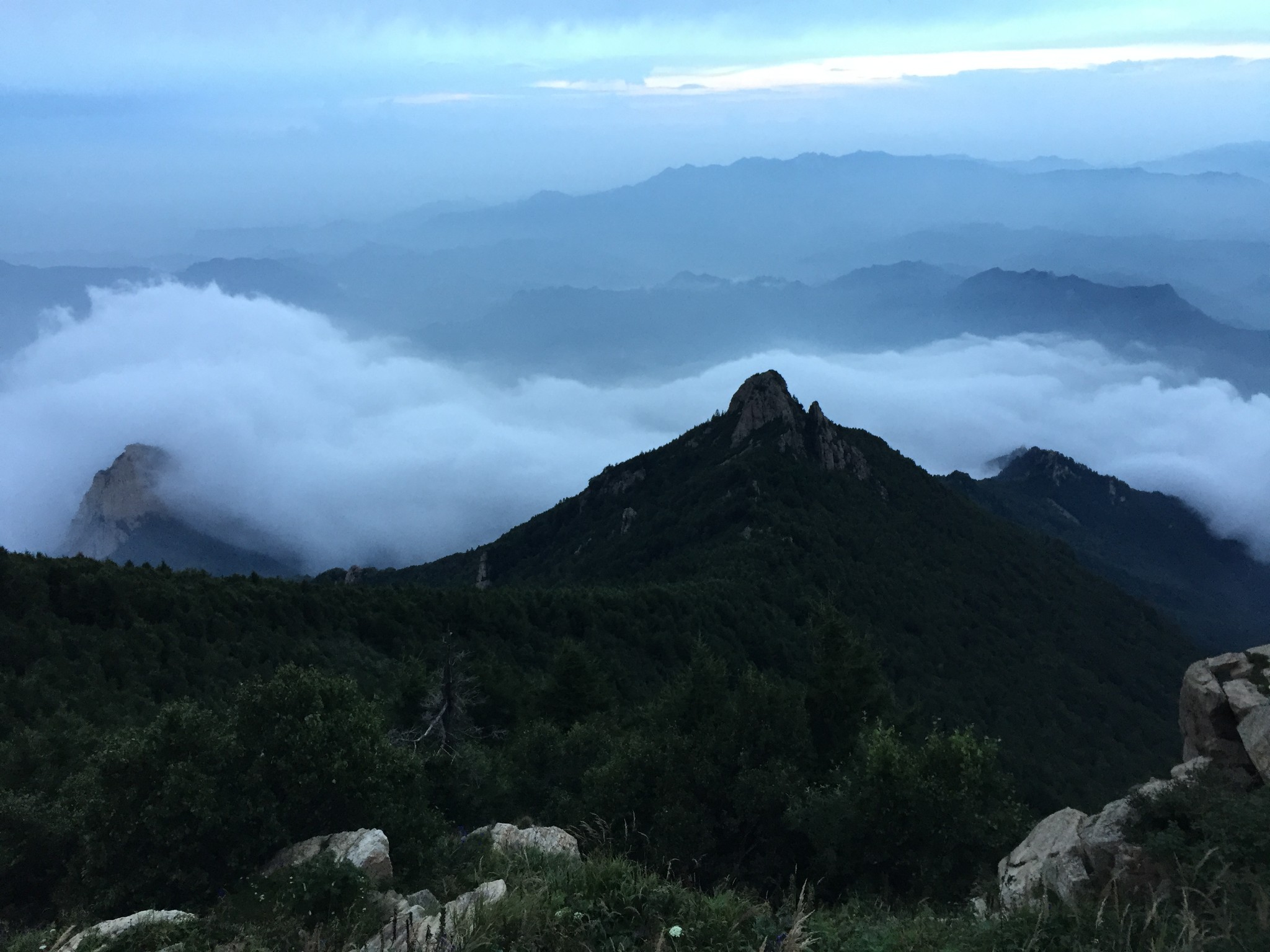 山野寻花之雾灵山