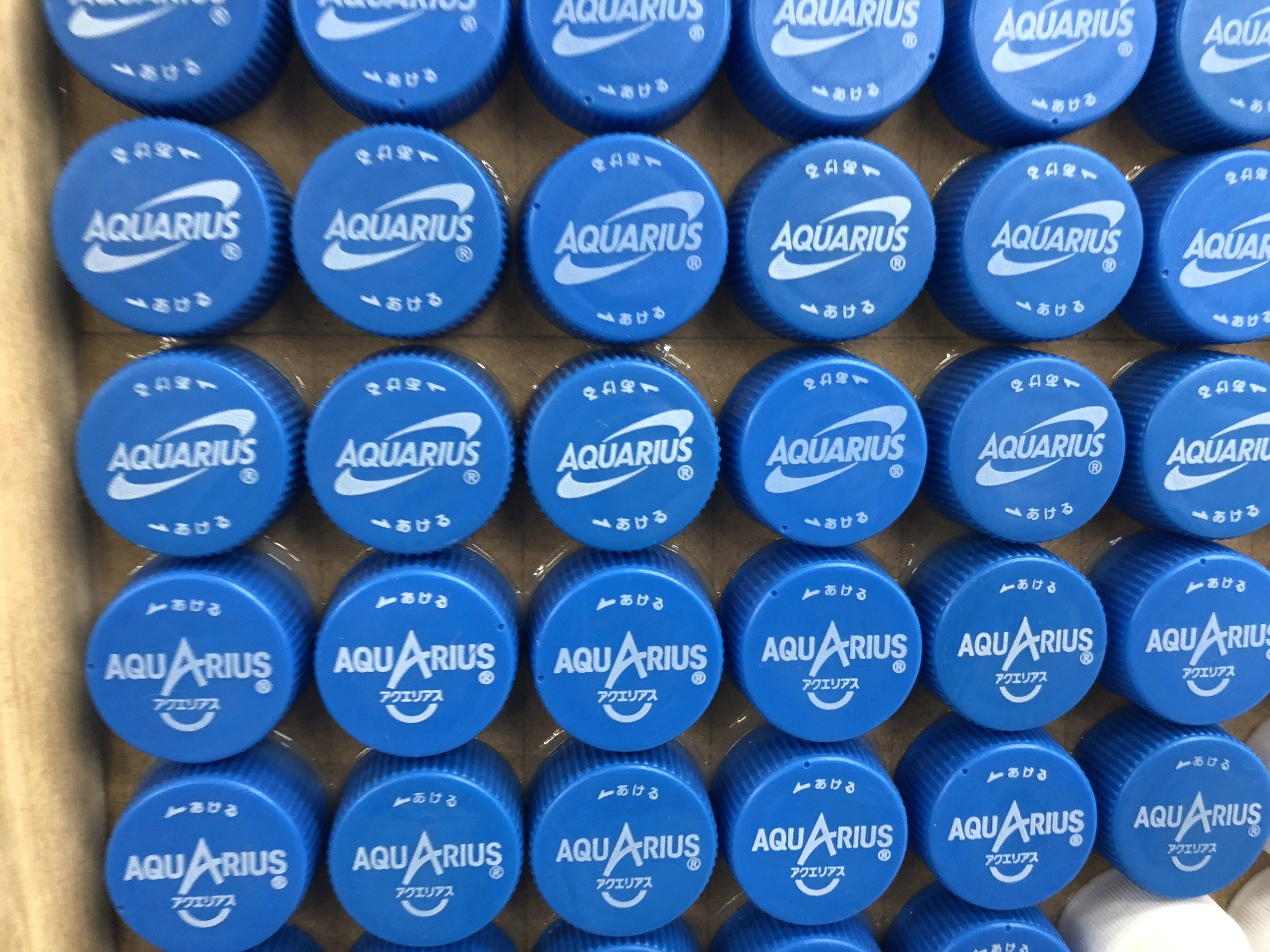 东京美食-さくら亭(両国店)