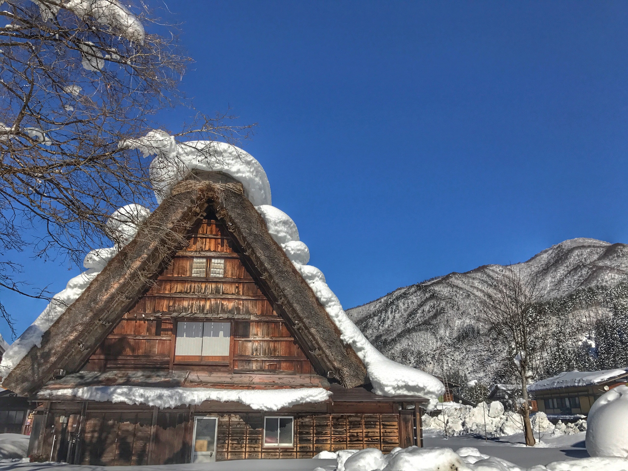 名古屋飞弹高山白川乡京都7日大暴走