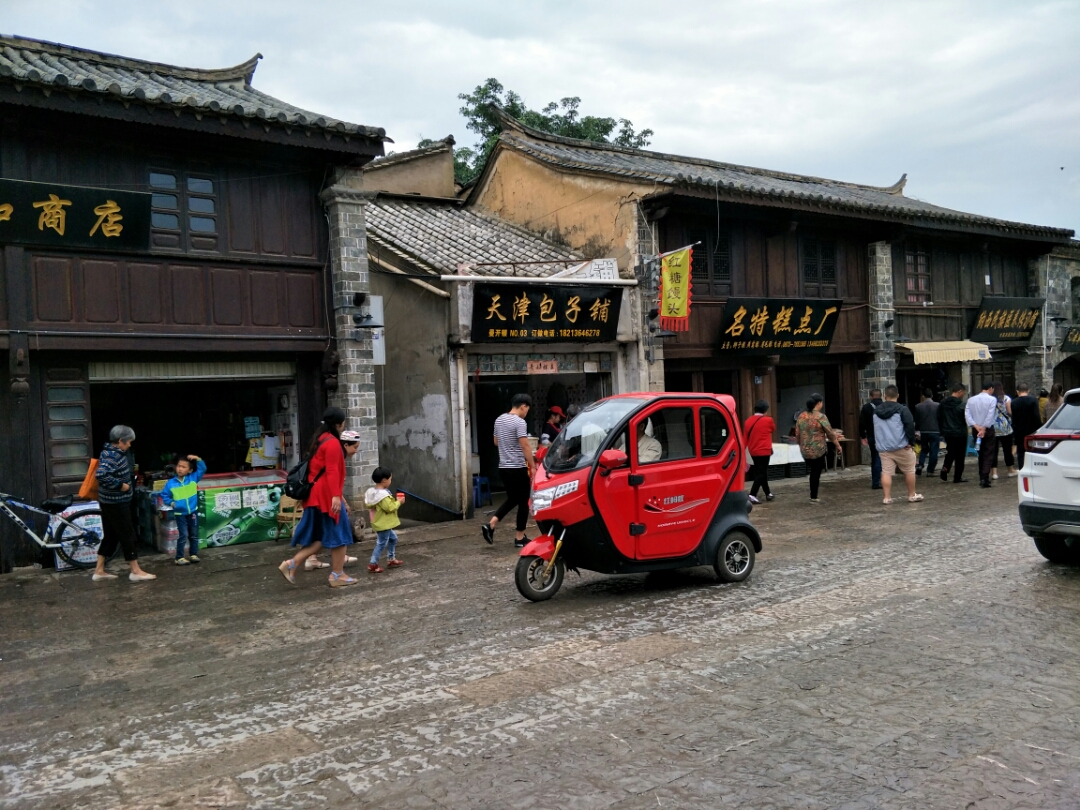 红河美食-临安焖洋鸭