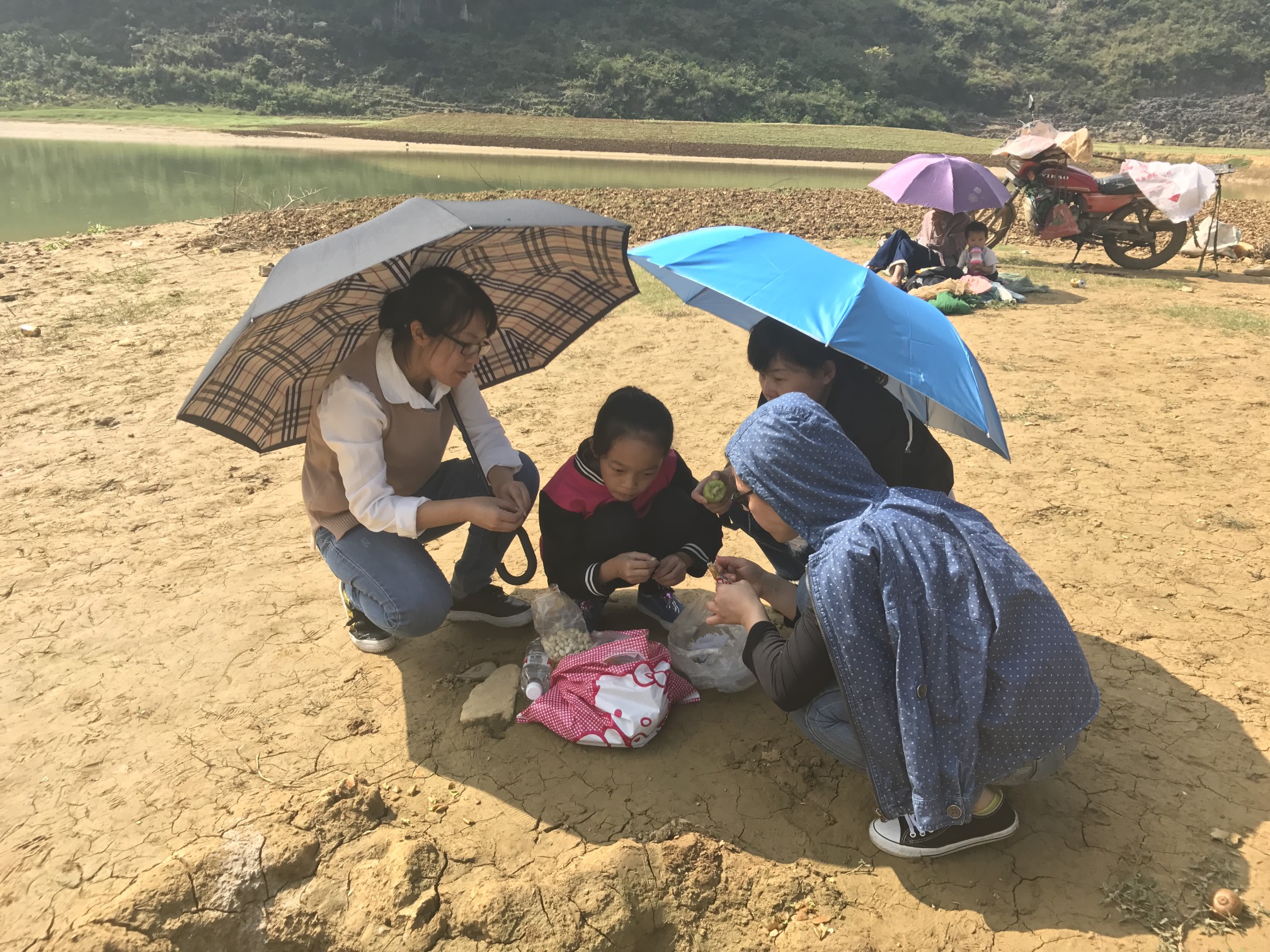 洪湖市桐湖农场多少人口_洪湖市赵玉清图片(2)