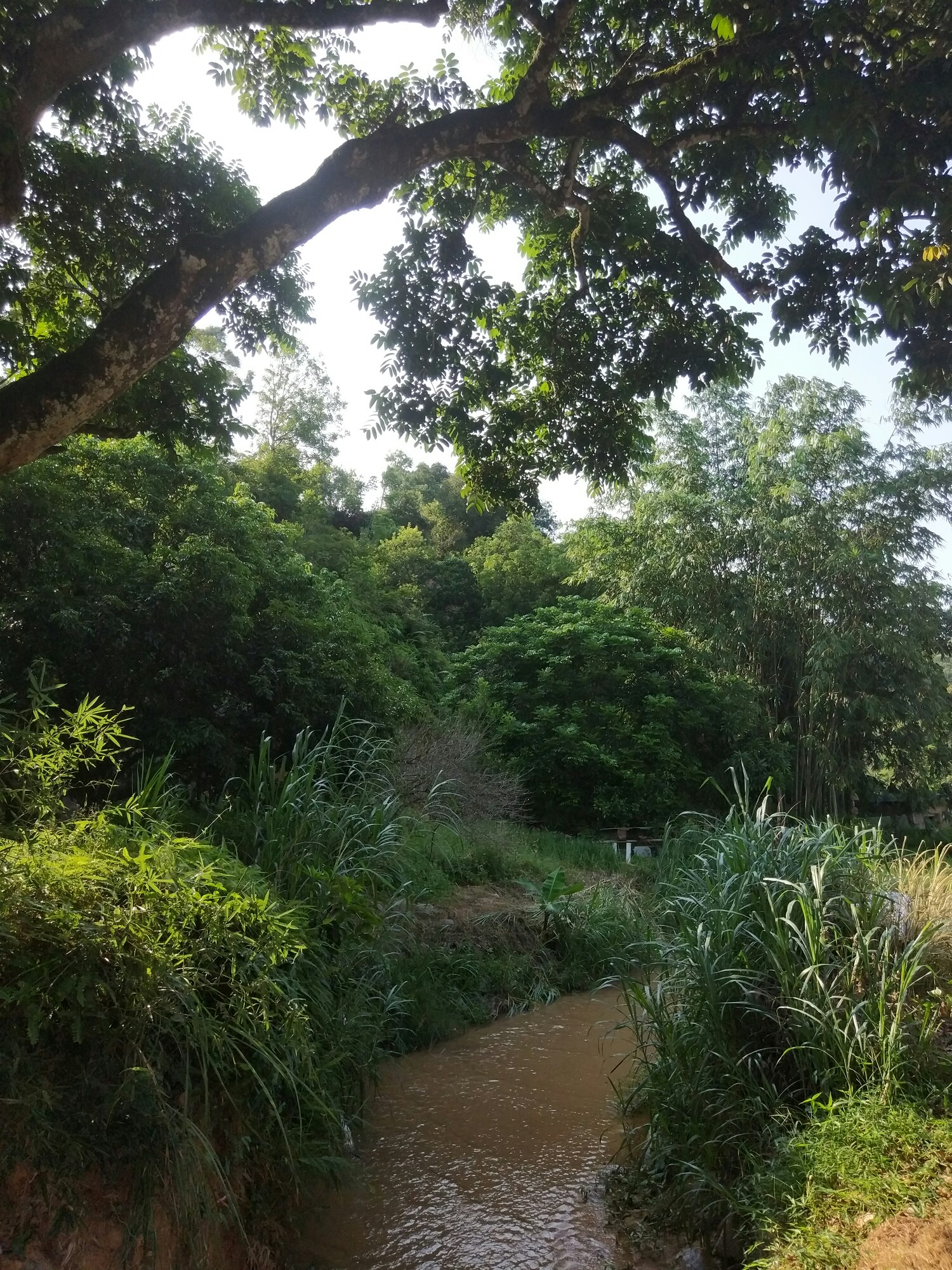 回归乡村～去饶平大坑村