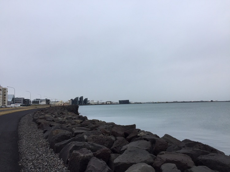 雷克雅未克美食-Lauga-as