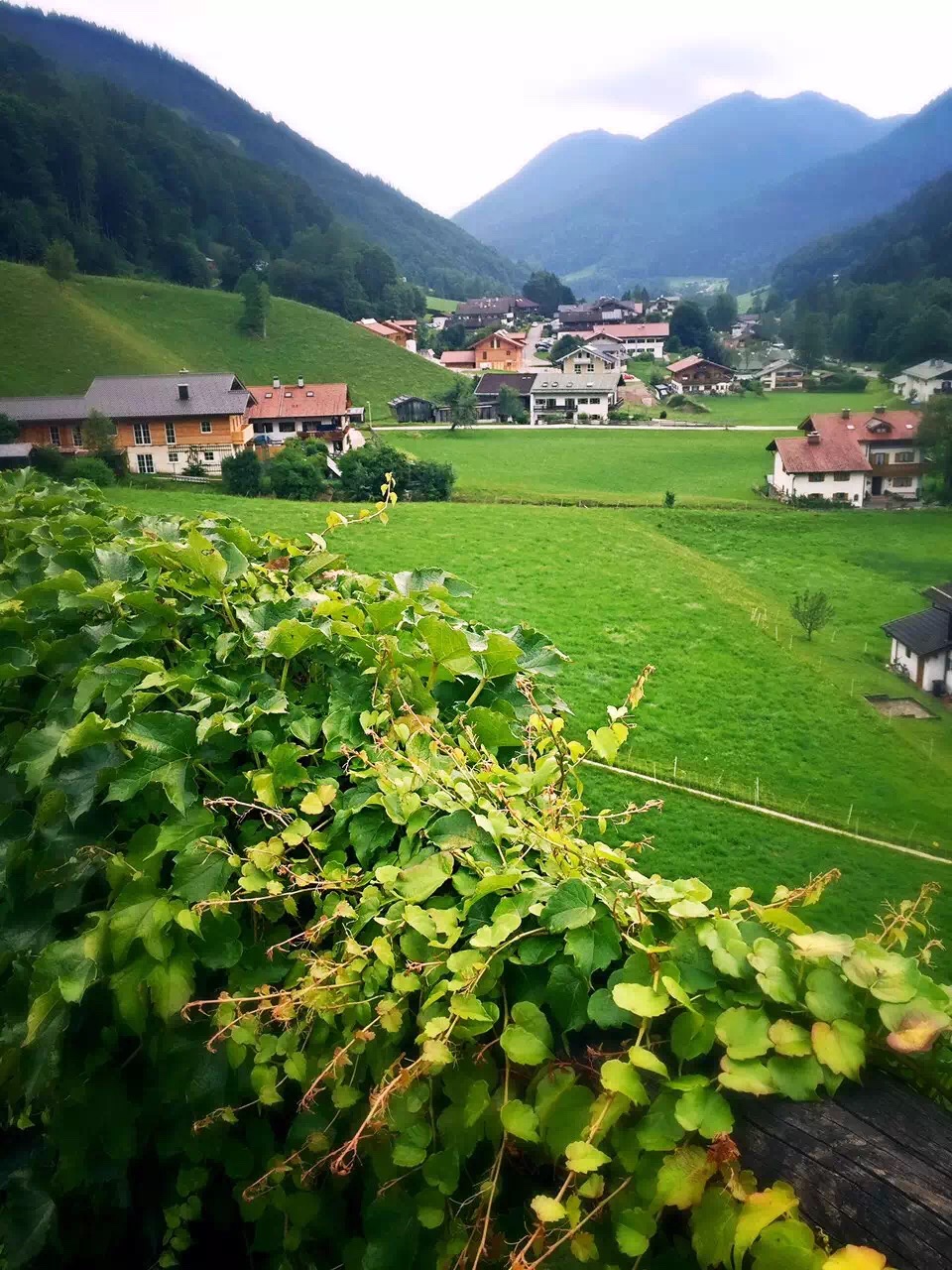 那年夏天的最美记忆，德奥捷懒人亲子自驾15日游_游记