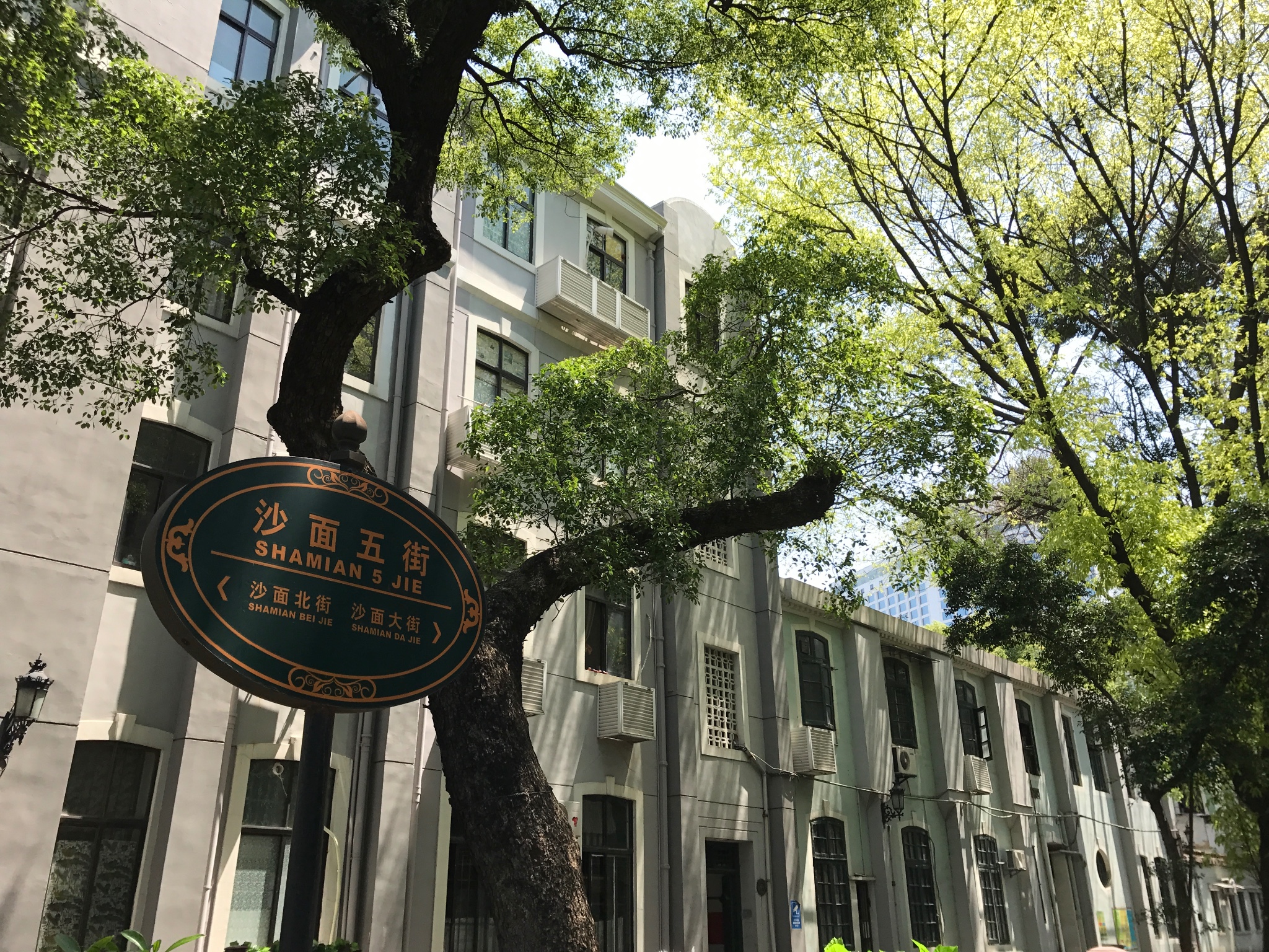 广东四月天（广州、东莞、惠东、肇庆）_游记