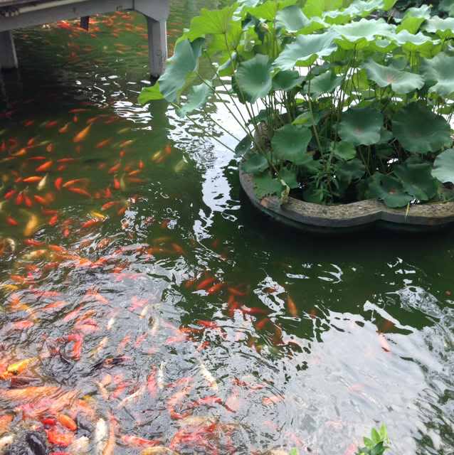 扬帆（牟）18642687781