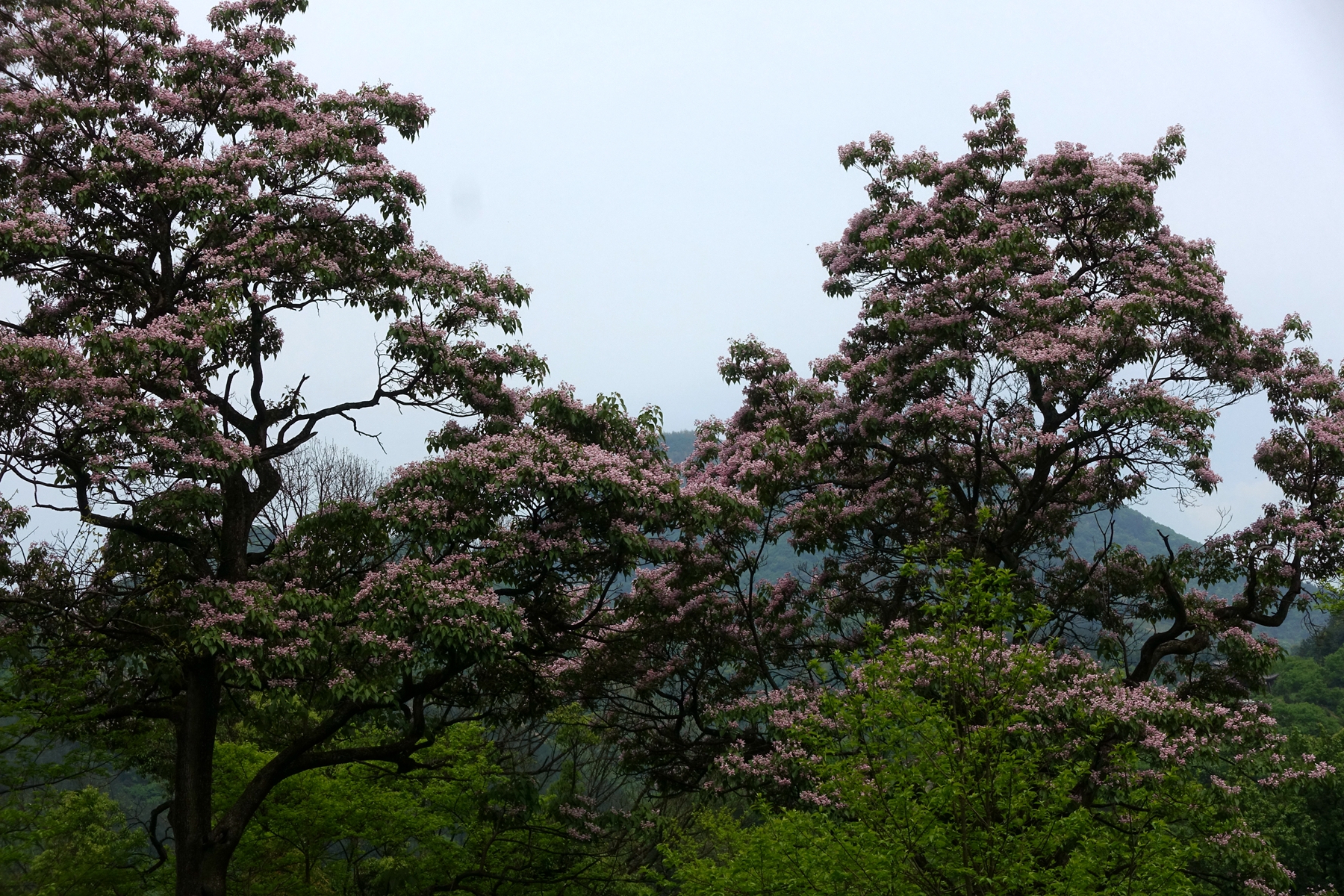 斯时斯地，斯人斯宅