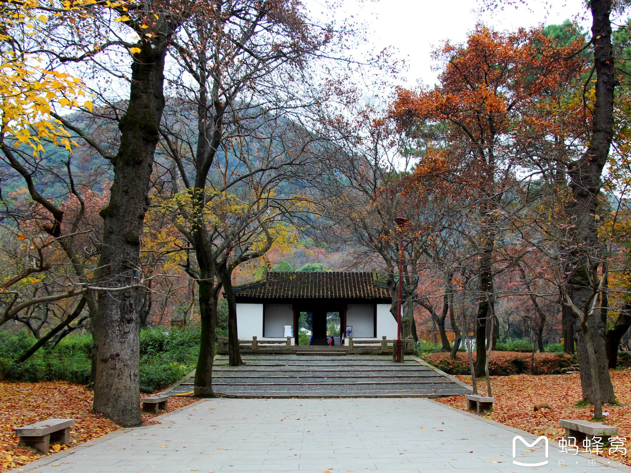 天平山:一年容易又秋风,又见枫叶红