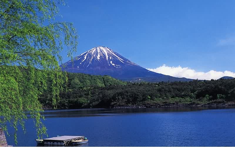 日本富士五湖包车一日游/山中湖 河口湖 西湖 精进湖 本栖湖(中文包车