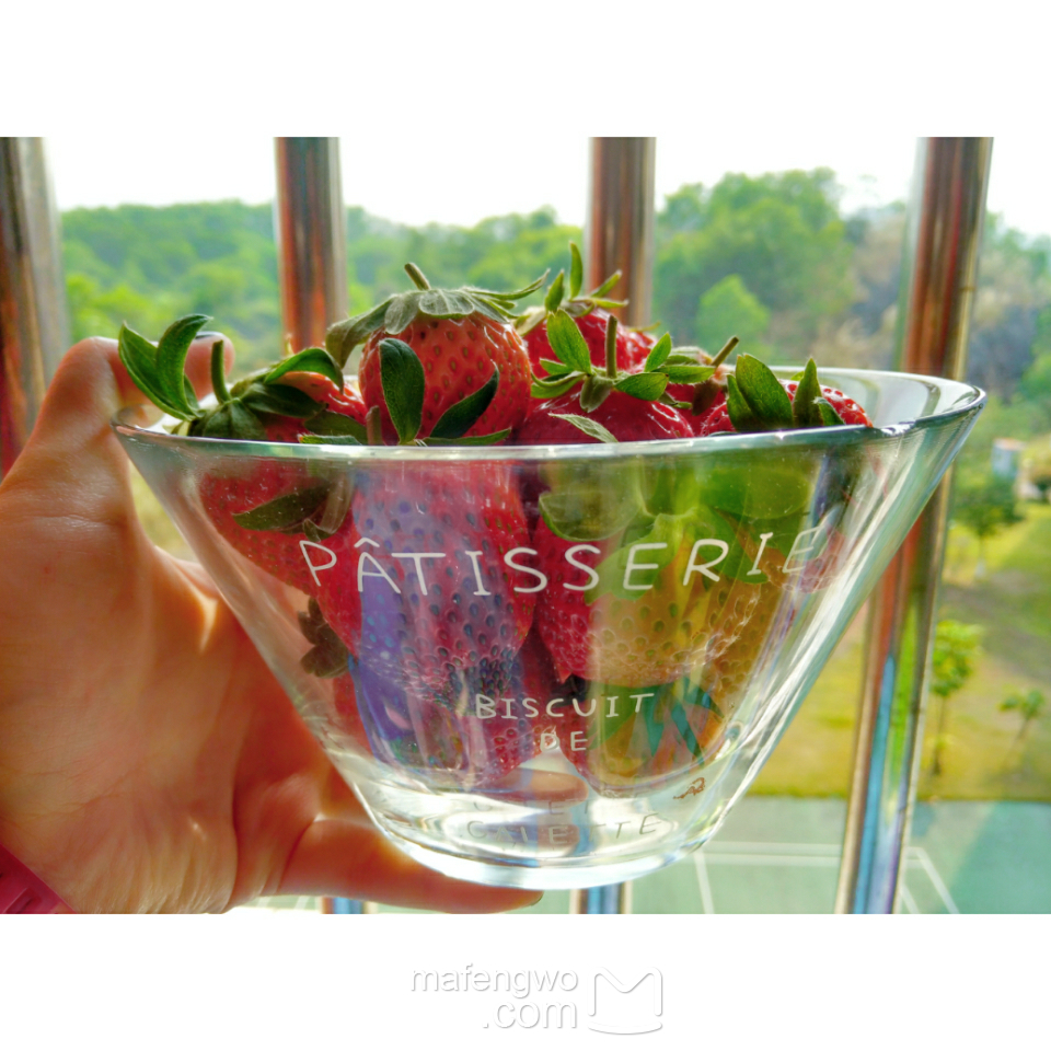 太和旅游攻略—拼价最便宜“草莓园”在钟落潭...