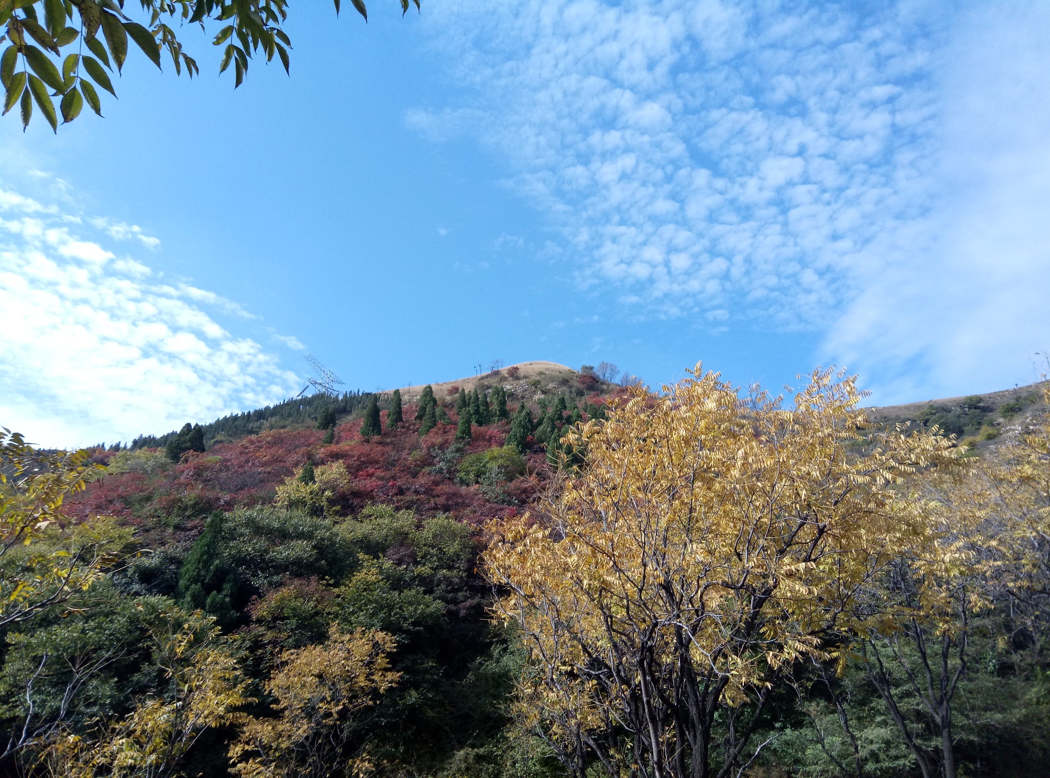 深闺里的西厢村