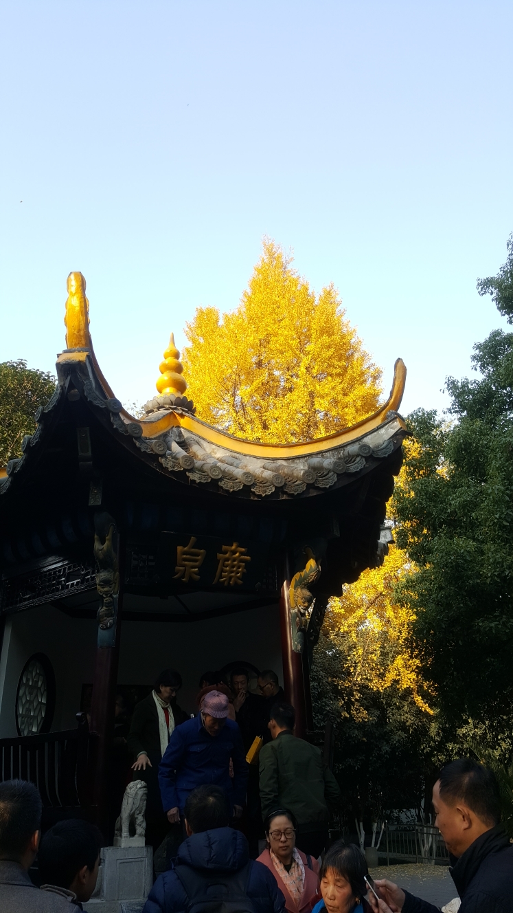 走马观花晥都，古今交融合肥_游记