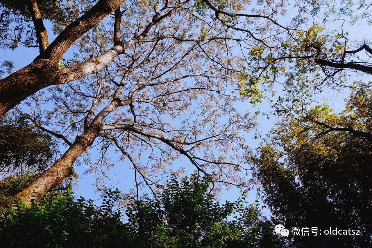 wKgBZ1kPDteADTwtAAV-D66xti051.jpeg?imageView2%2F2%2Fw%2F600%2Fh%2F600%2Fq%2F90