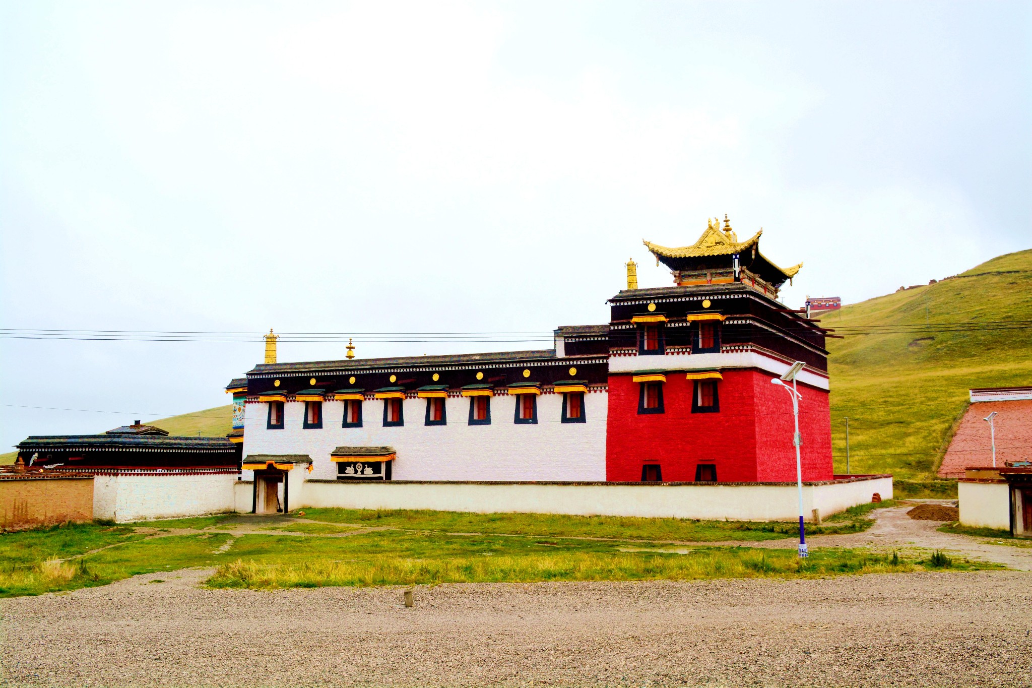 夏宁葆去四川玛曲旅游。