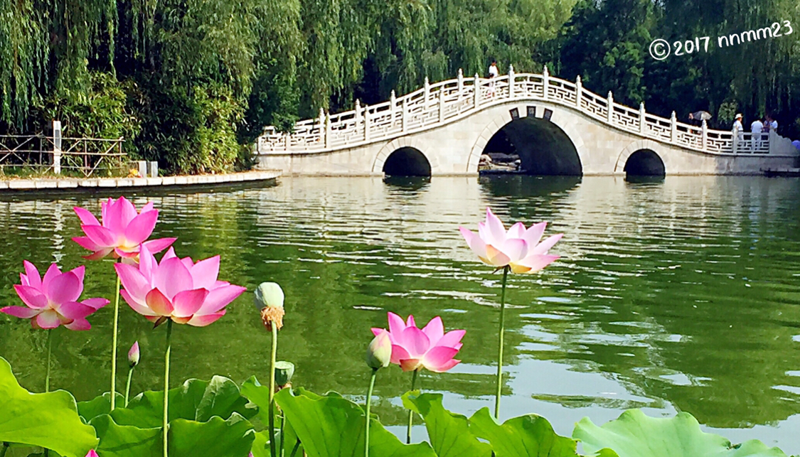 西安夏天可以赏花的地方