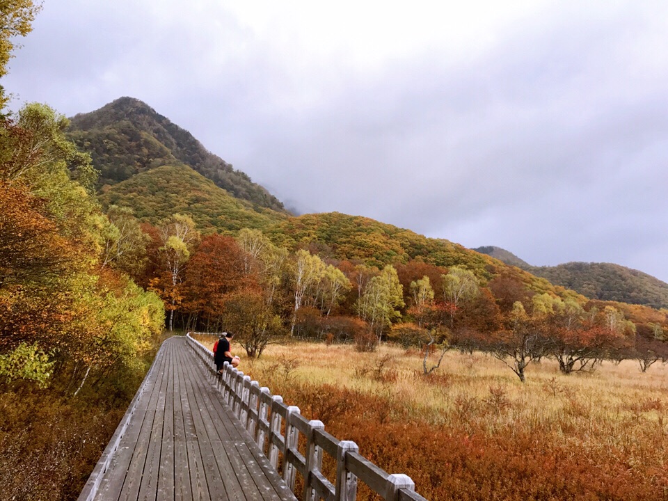 【日光图片】日光的秋