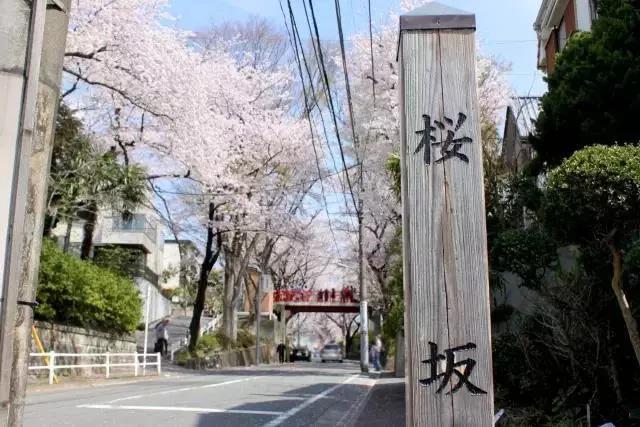 潜派旅行