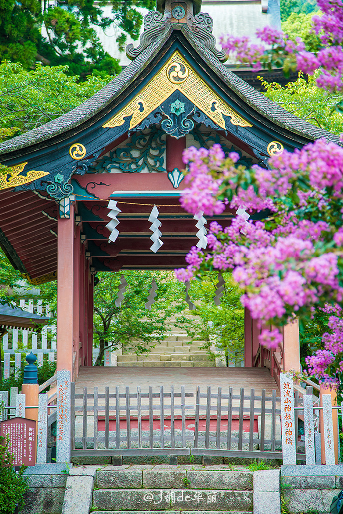潜派旅行