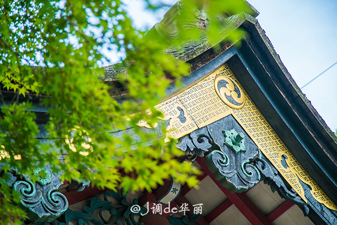 潜派旅行